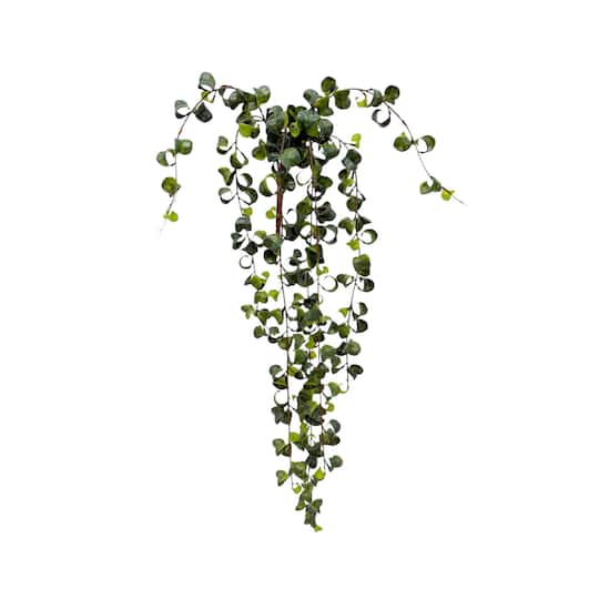34" Hanging Curly Ficus Bush by Ashland®